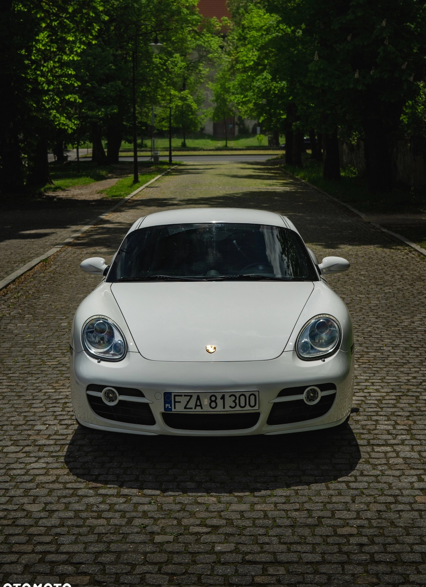 Porsche Cayman cena 139900 przebieg: 112000, rok produkcji 2008 z Żary małe 277